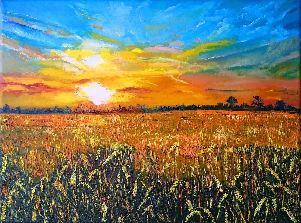 Sunset On Fields