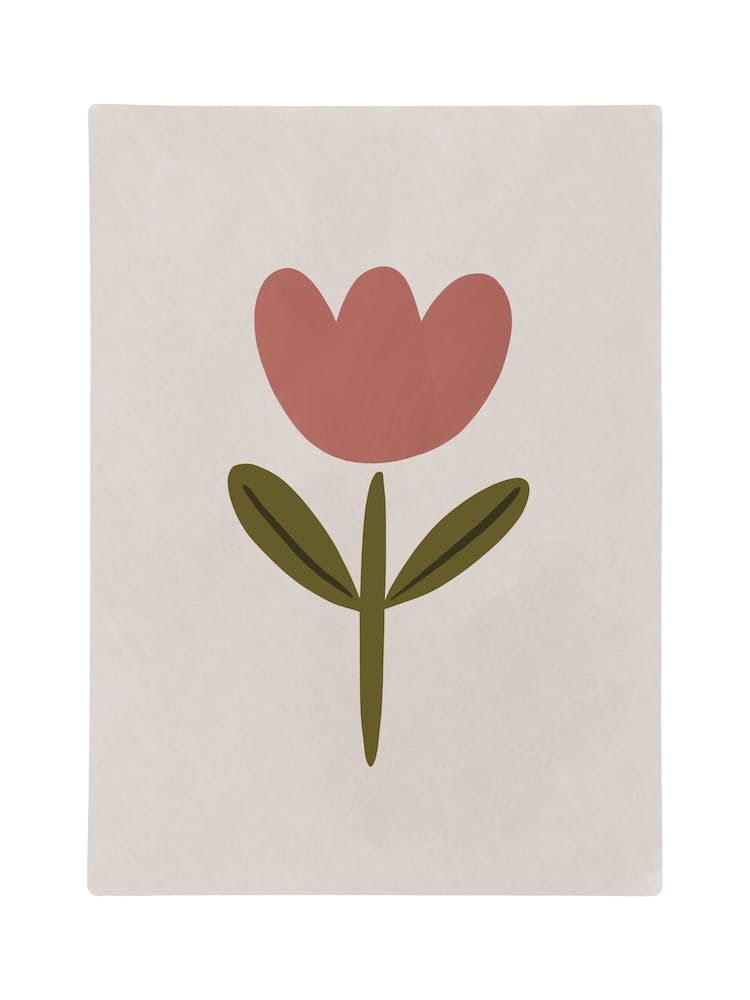Tulpe