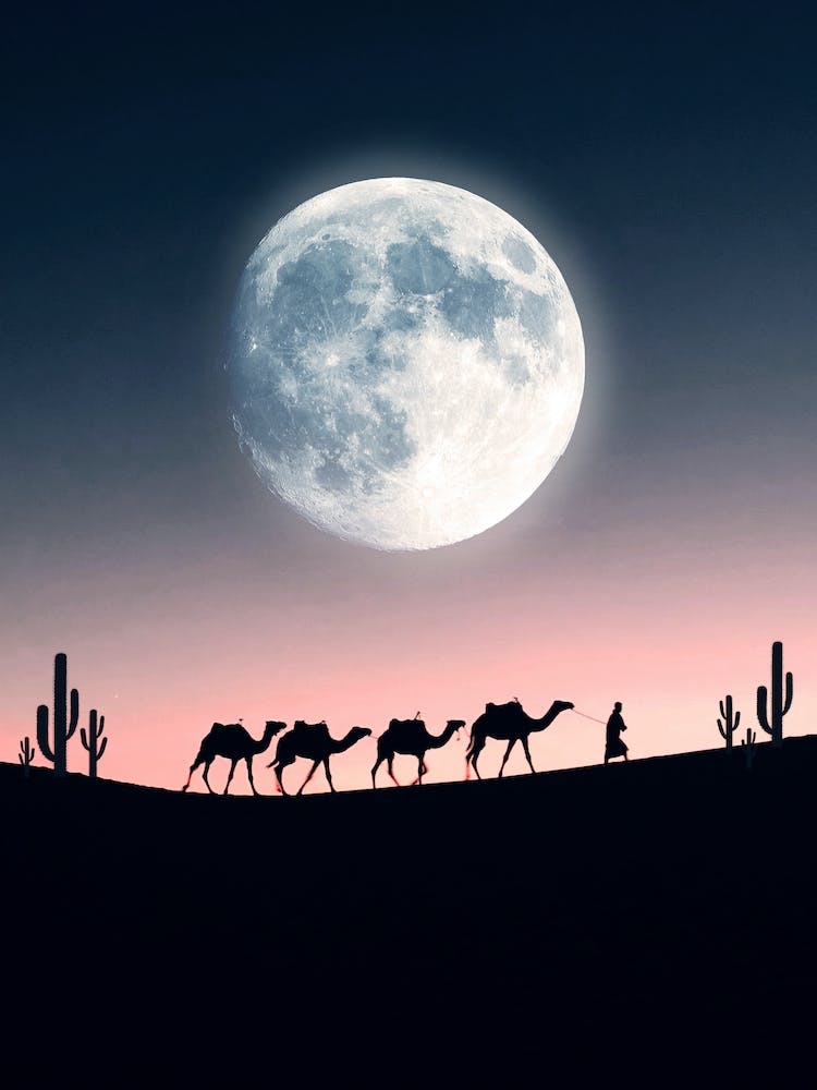 Ramadhan Kareem