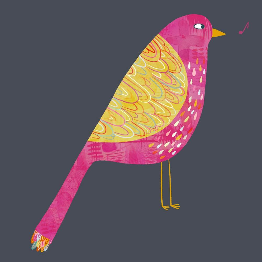 Pink Watercolor Bird Saying Something Salty in the Dark