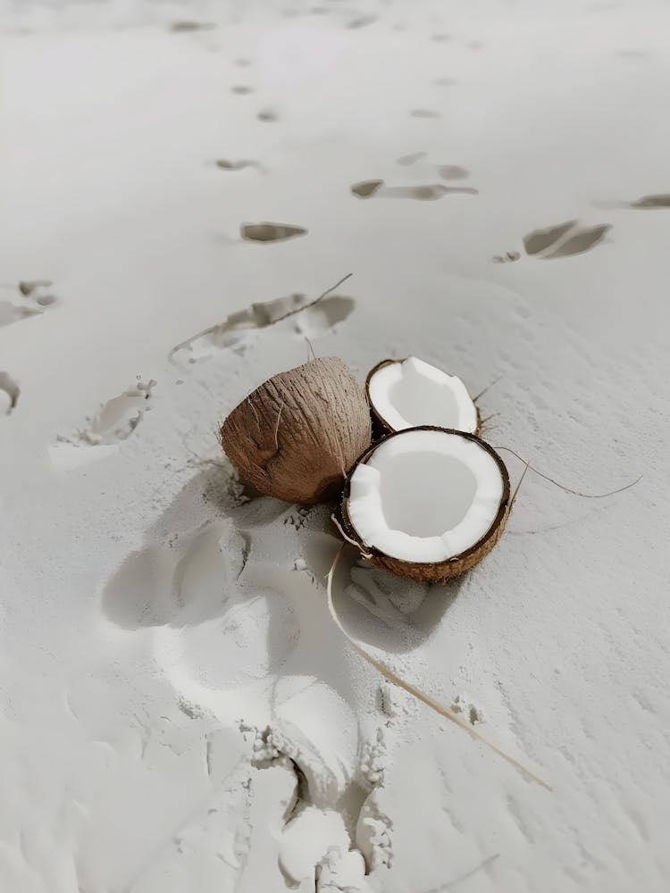 Coconuts On The Beach 1