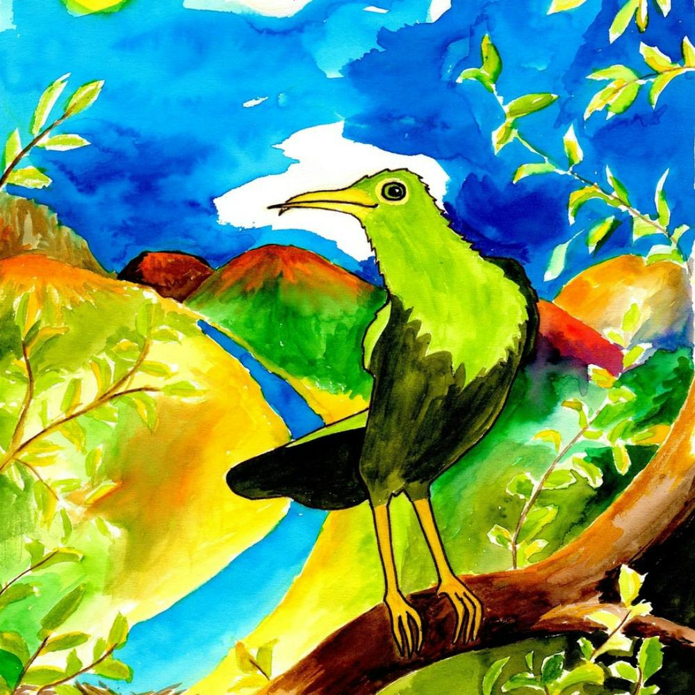 Bird Of Paradise