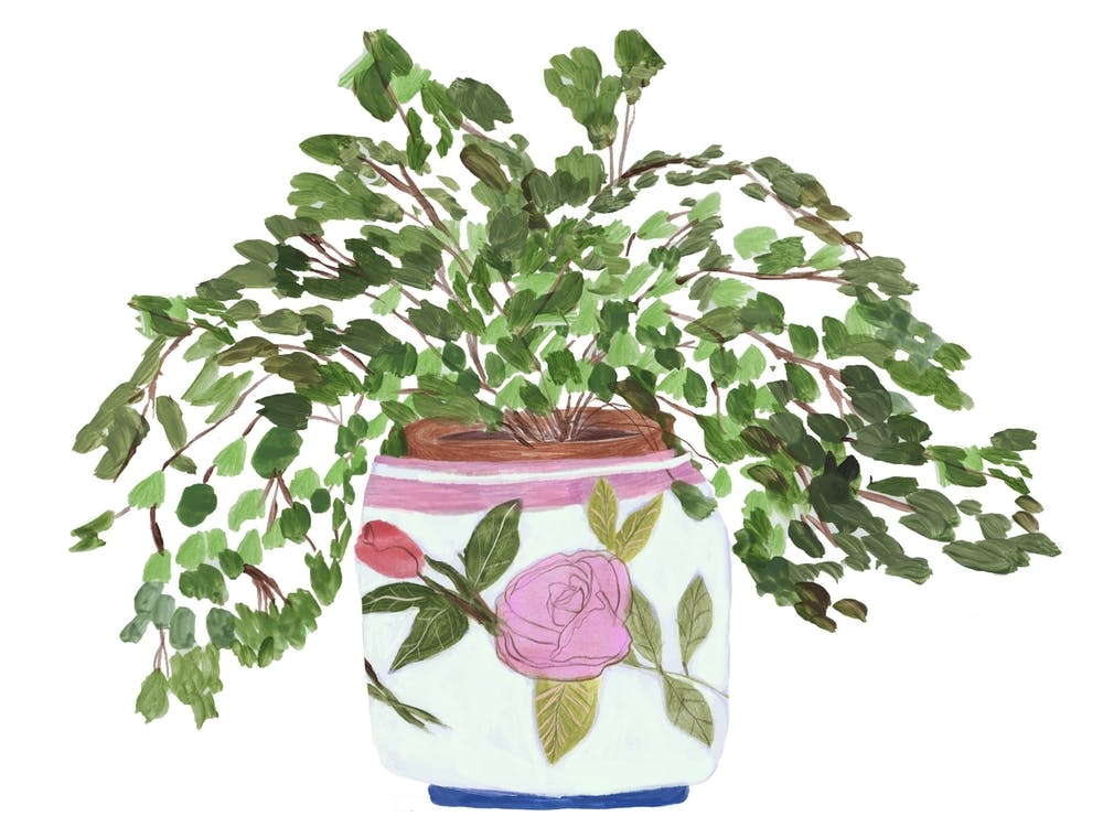 Calm Again After It All