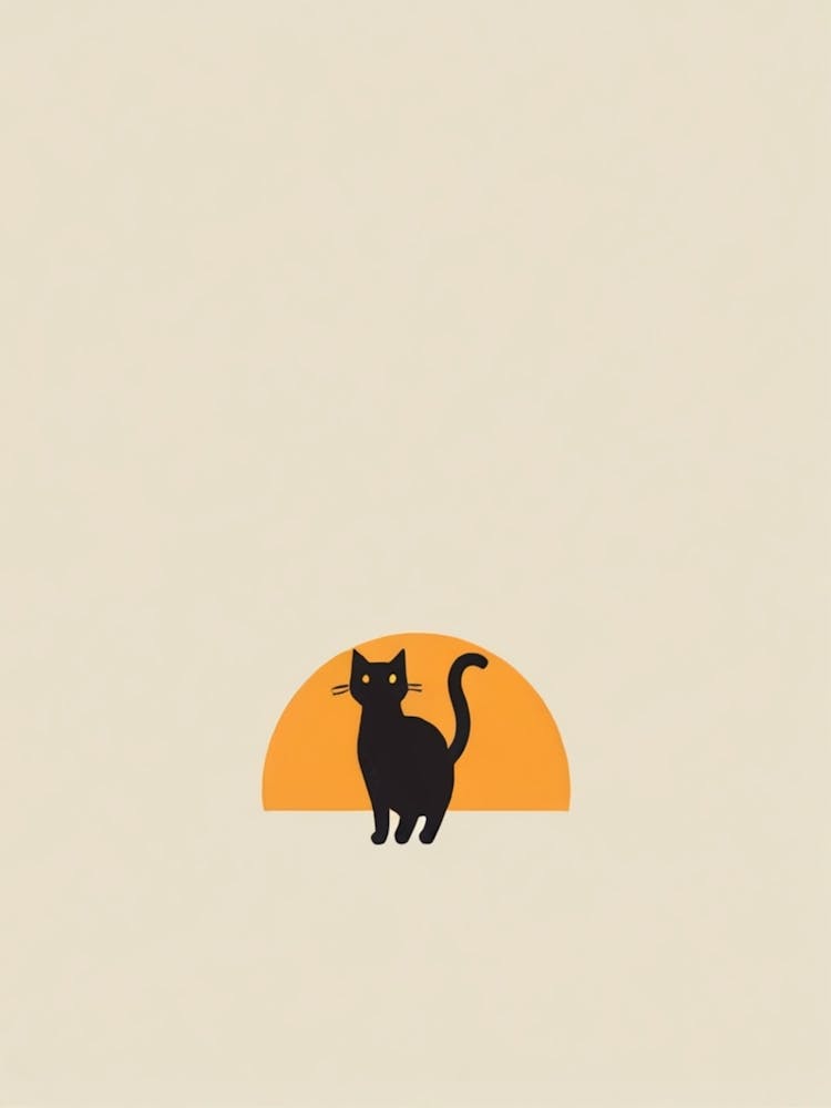 Schwarze Katze bei Sonnenuntergang 6
