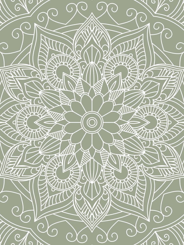 BOHO Sage Green