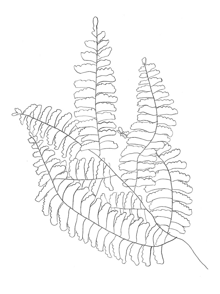 Botanics 1