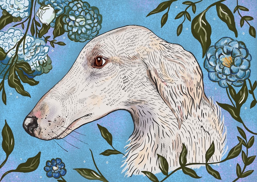 Borzoi Peonies