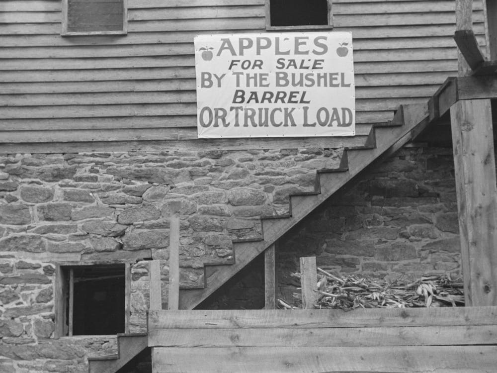 Detail Of Gristmill On Way To Skyline Drive, Virginia By Russell Lee