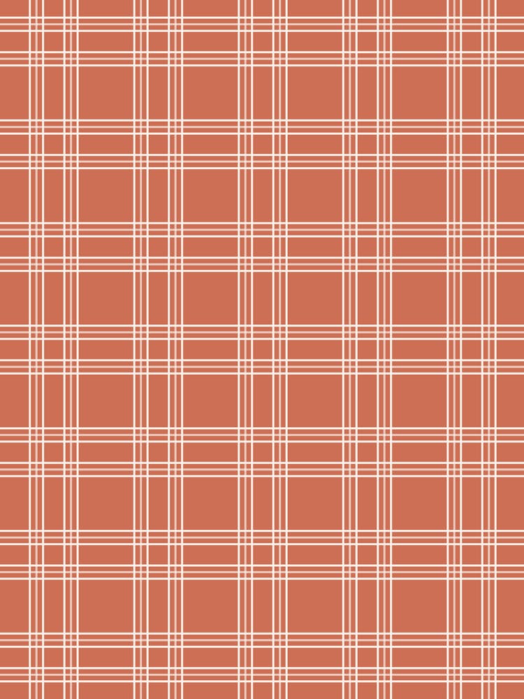 Terracotta Gingham