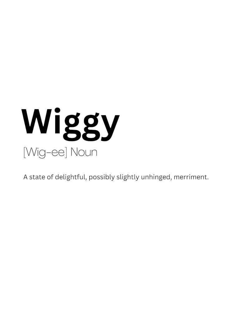 Wiggy Definition Meaning