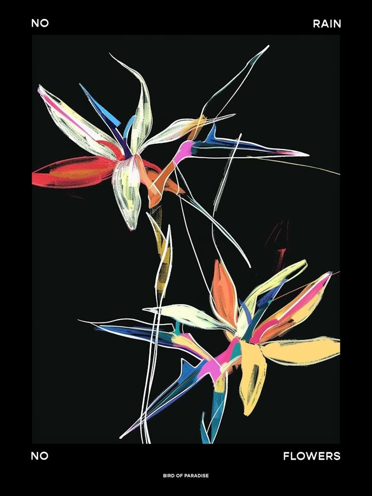 No Rain No Flowers Poster Bird Of Paradise 2