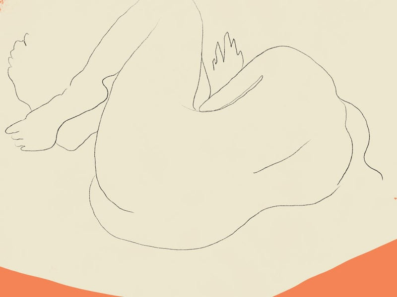 Drawing Of A Woman's Body