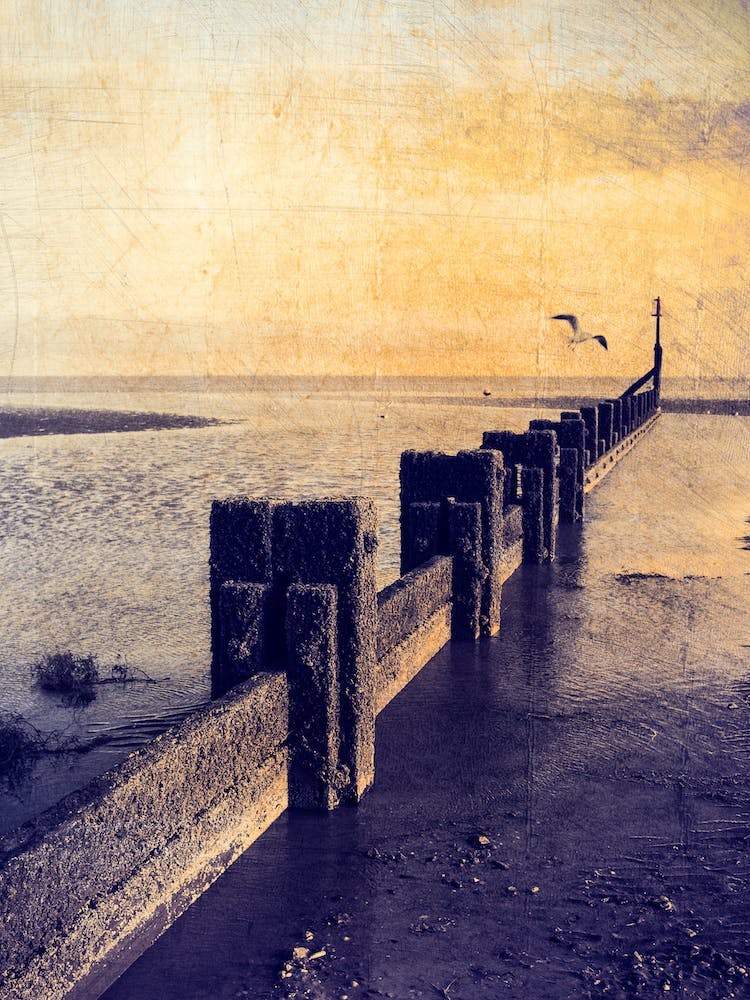 The Groyne