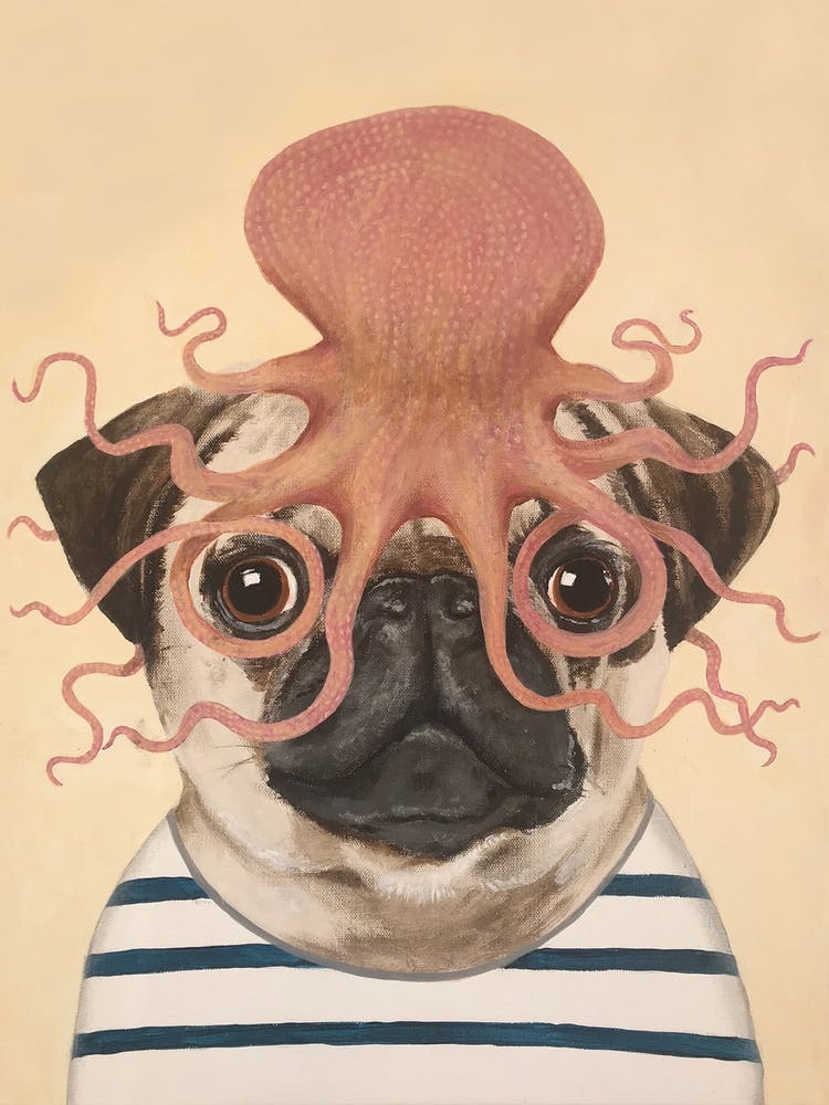 Pug With Octopus