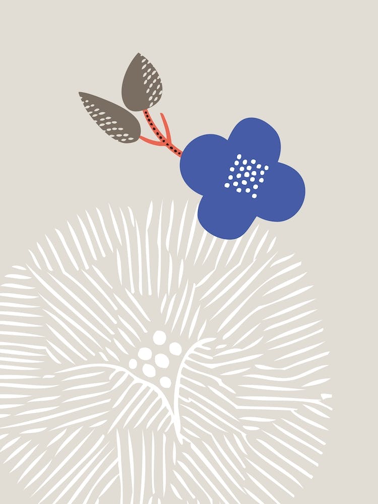 Chrysanthemum