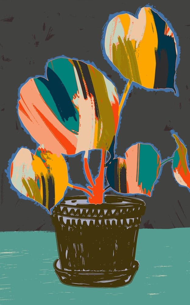 Colorful Plant Pot