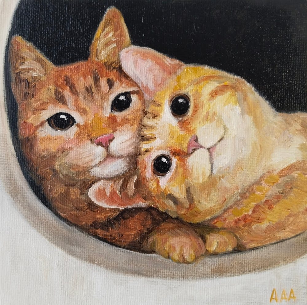 Two Cats In A Bowl