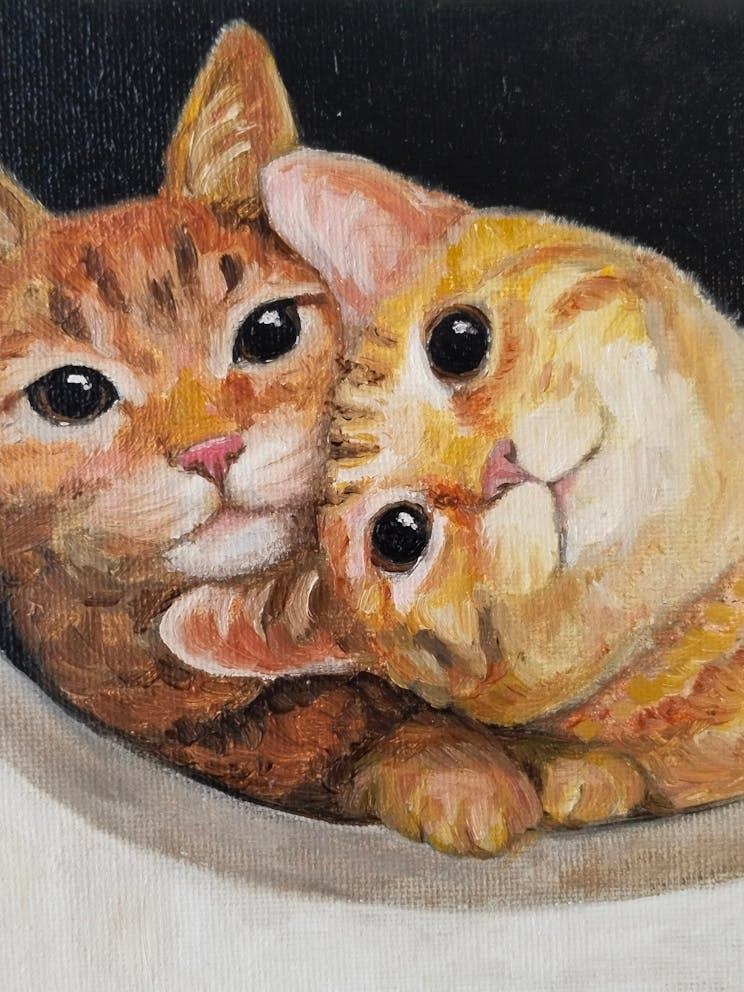 Two Cats In A Bowl