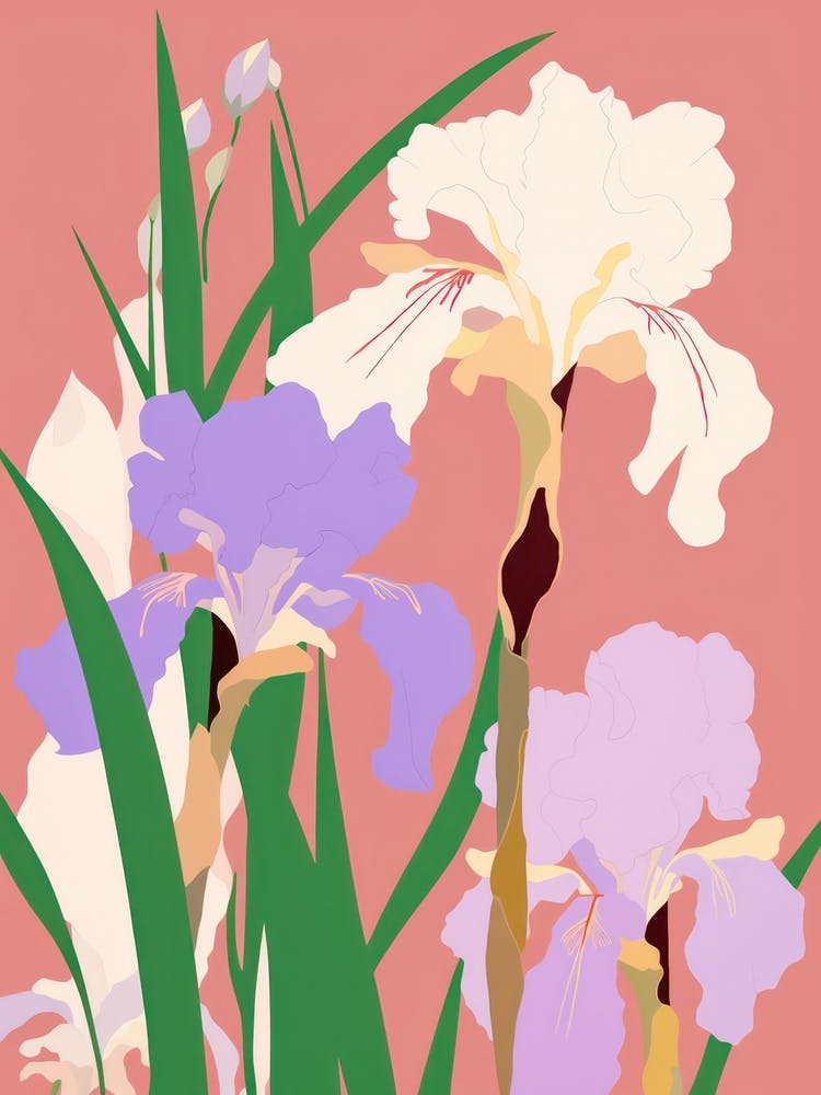 Irisblume Große, kühne Illustration 4