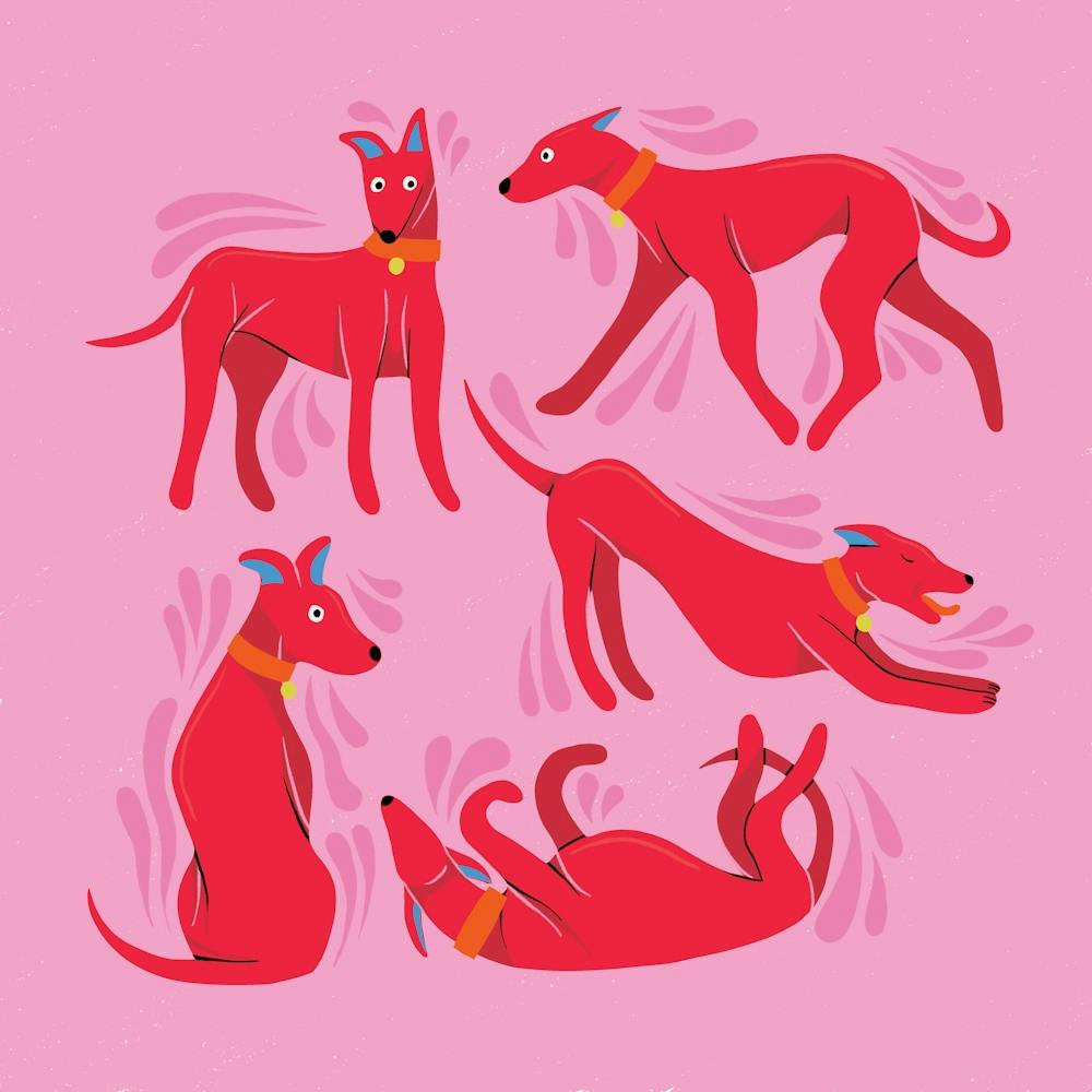 Colourful Sighthounds Pink Cmyk