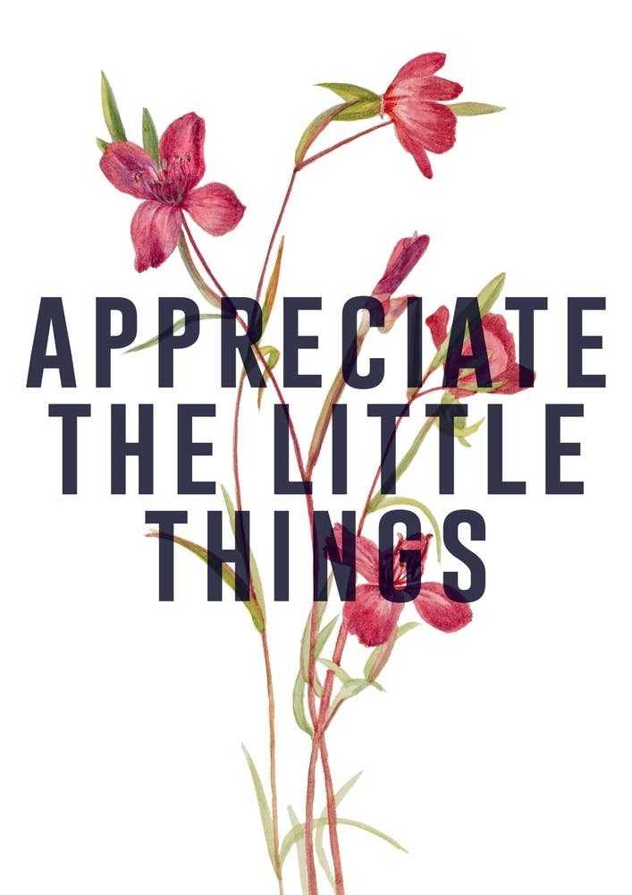 Appreciate The Little Things