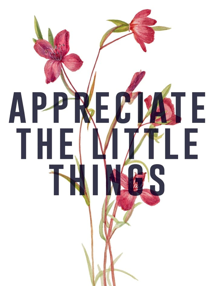 Appreciate The Little Things