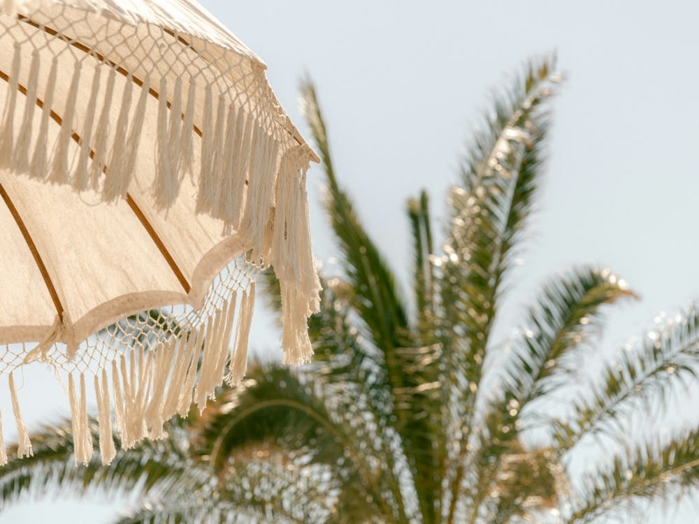 Palm tree tropical paradise wall art print