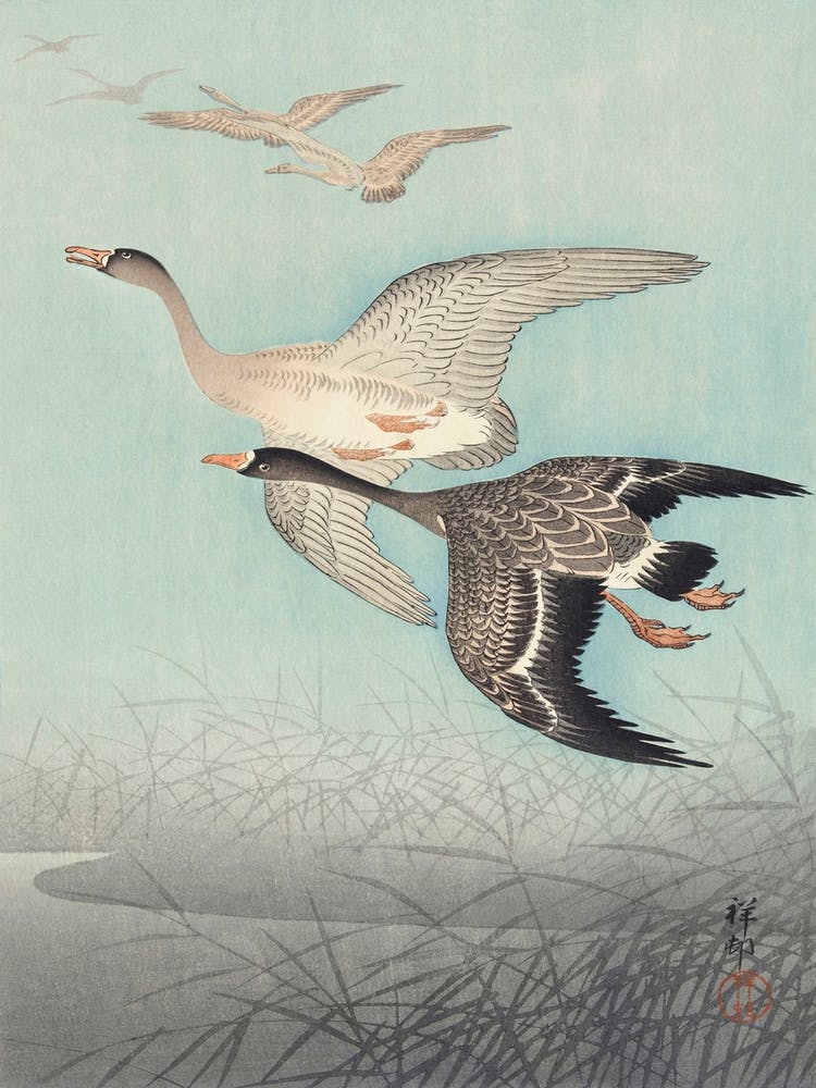 Great Geese In Flight (1925 1936), Ohara Koson