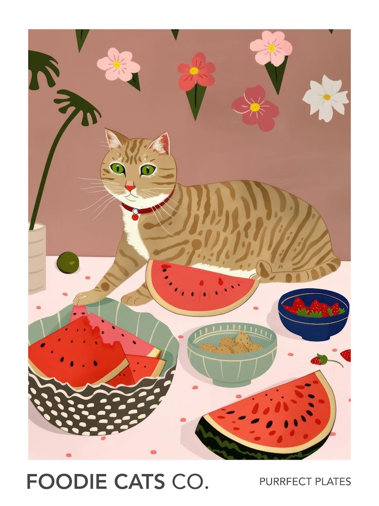 Foodie Cats Co Cat And Watermelon 2
