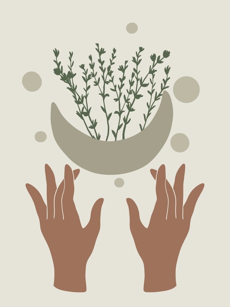 Two Hands Holding A Plant