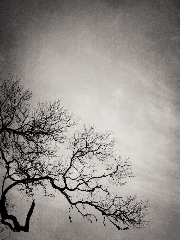 Mansion Of The Sky 1