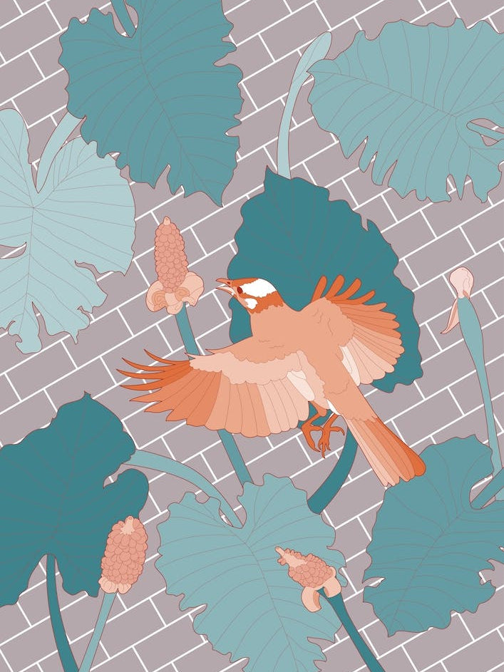 Orange Bird On Brick