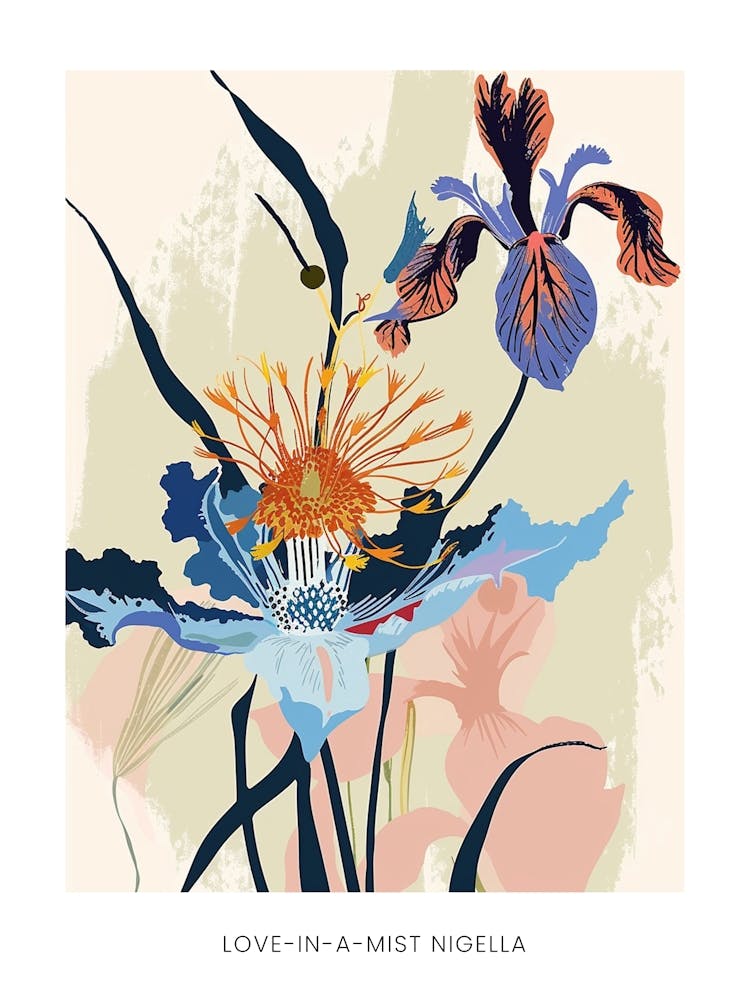 Colourful Flower Illustration Poster Love In A Mist Nigella 2