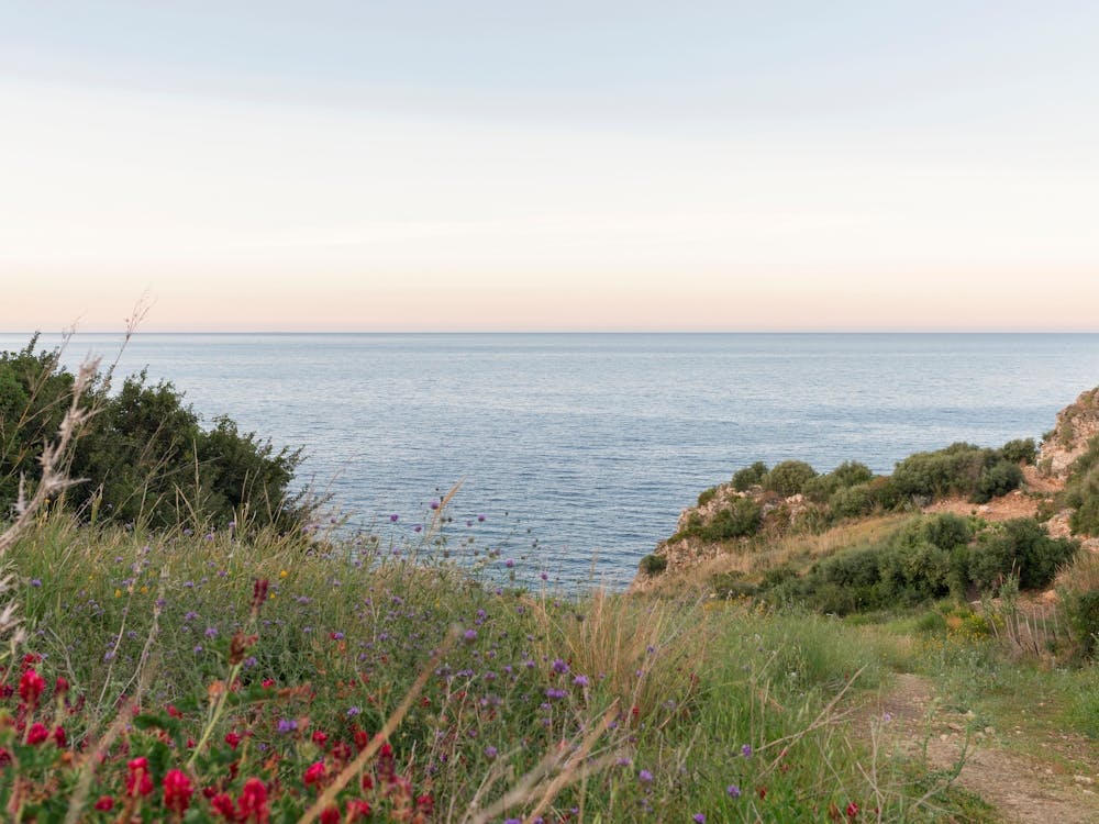 Dreamy Sicilian Sunset - Beautiful Scopello Photo - Italy Travel Photography - Photograph