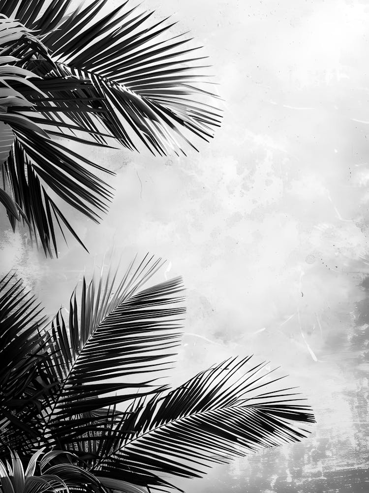 Palm Tree Background