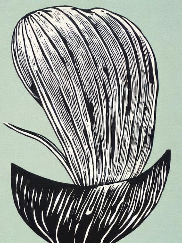 Conch Linocut