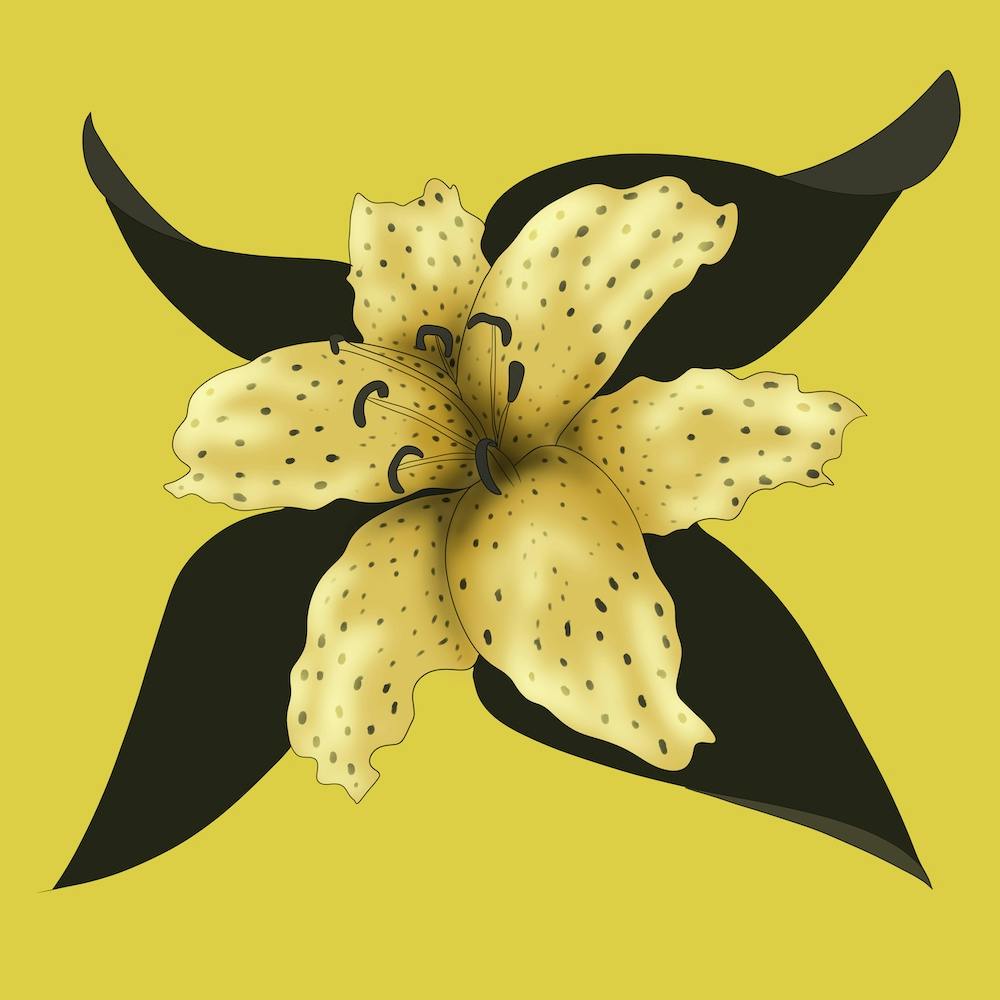 Yellow Lily