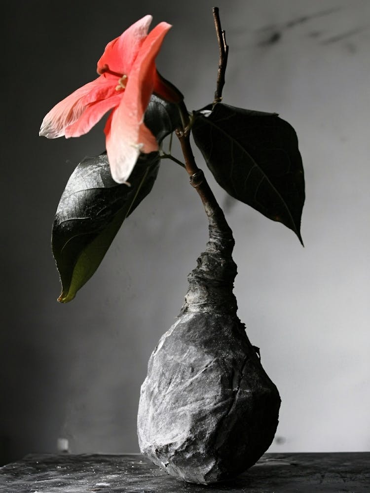 Blume in einer Vase