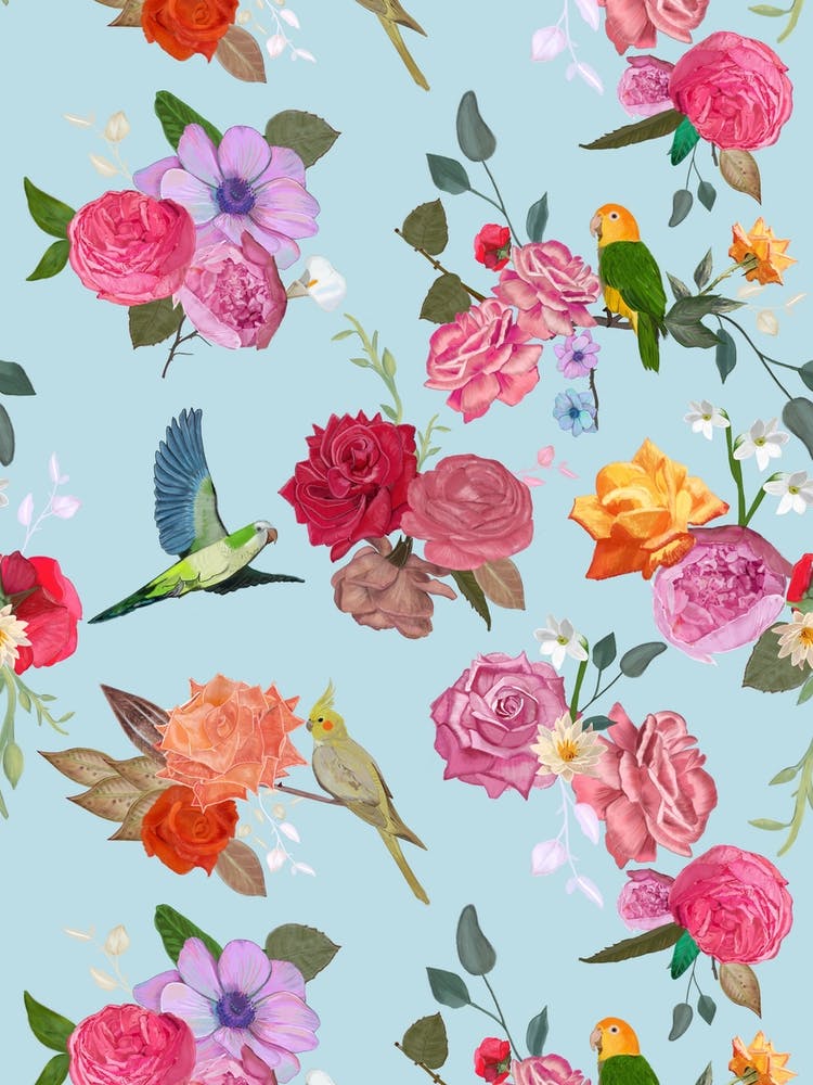 Belles Roses Oiseaux