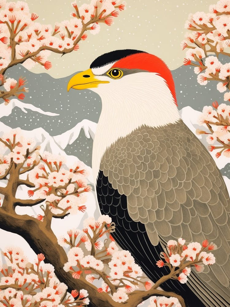 Bird Illustration Crested Caracara 1