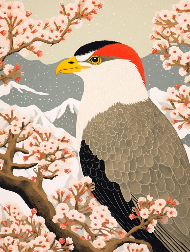 Bird Illustration Crested Caracara 1