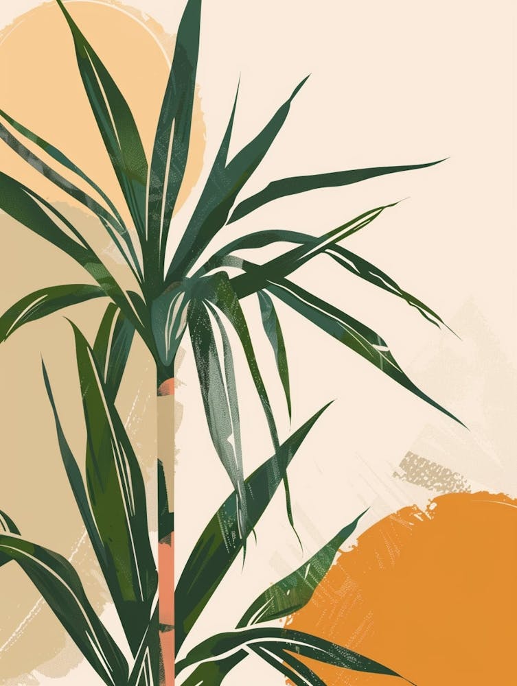 Dracaena Plant Minimalist Illustration 2