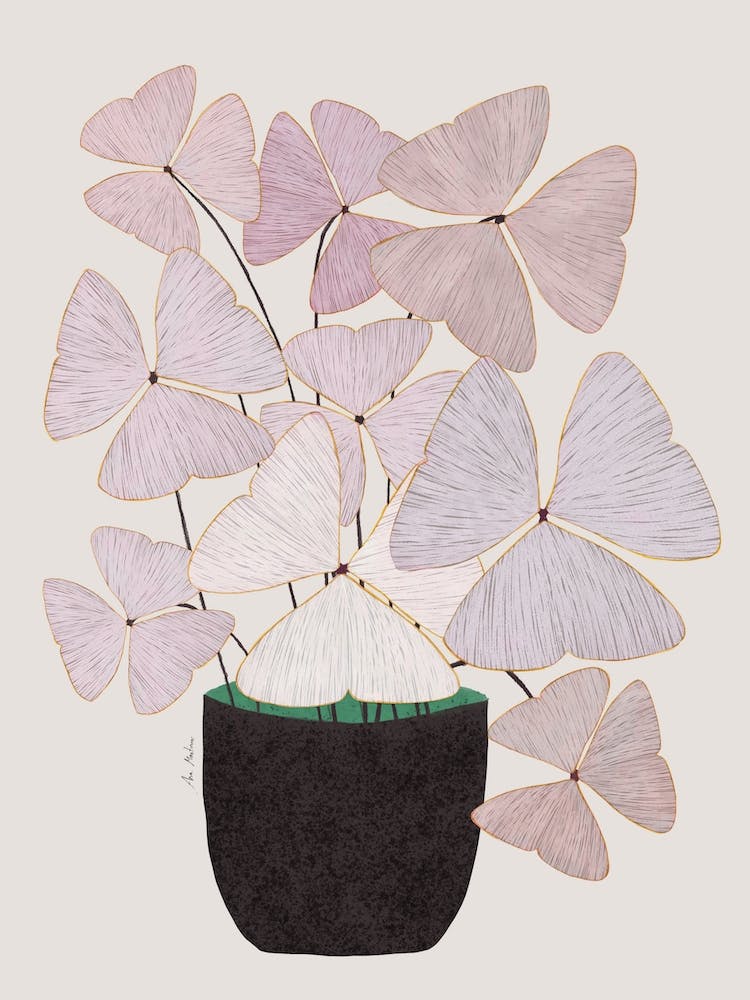 Clovers