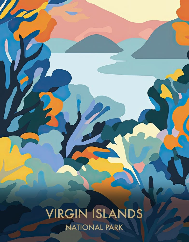 Virgin Islands National Park Travel Poster Matisse Style 1