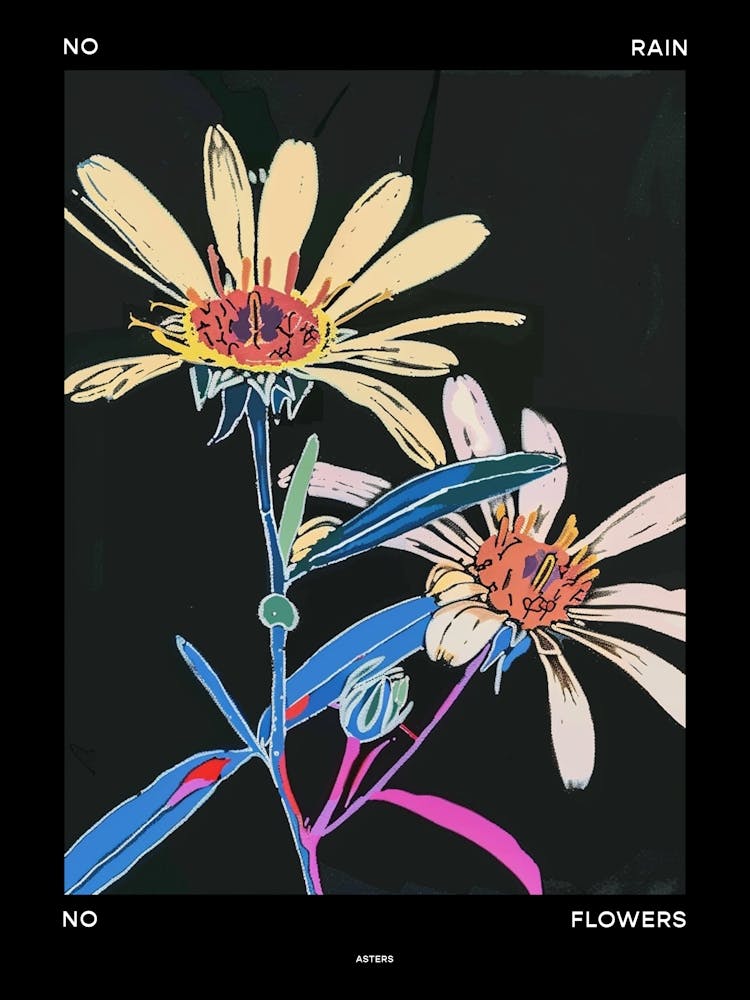 No Rain No Flowers Affiche Asters 1