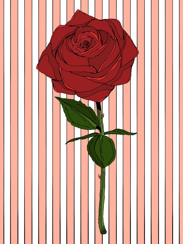 Red Rose On Striped Background Vector