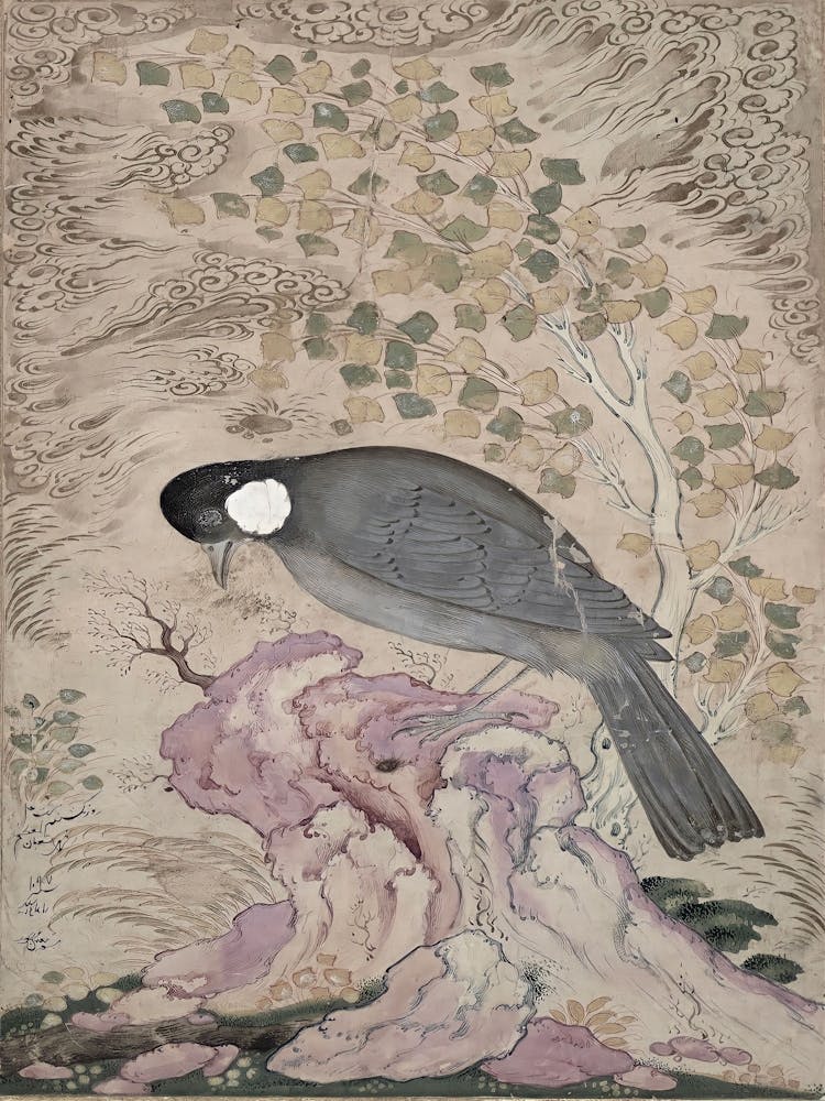 Bird Perched On A Rock