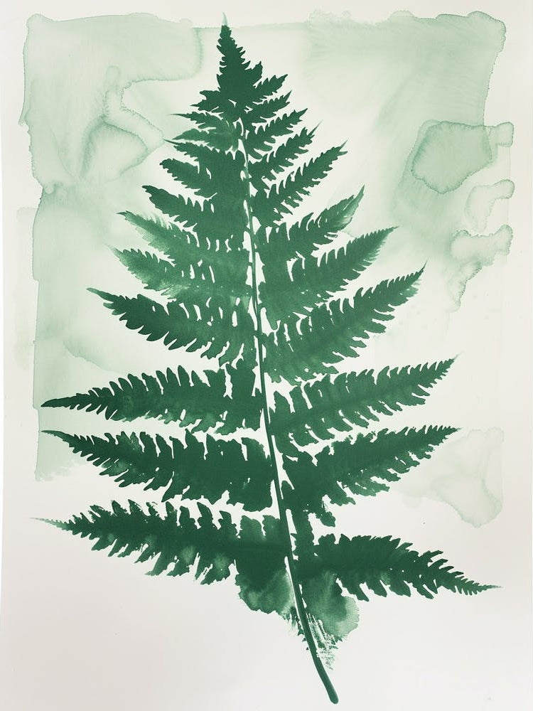 Green Ink Painting Of A Royal Fern 4