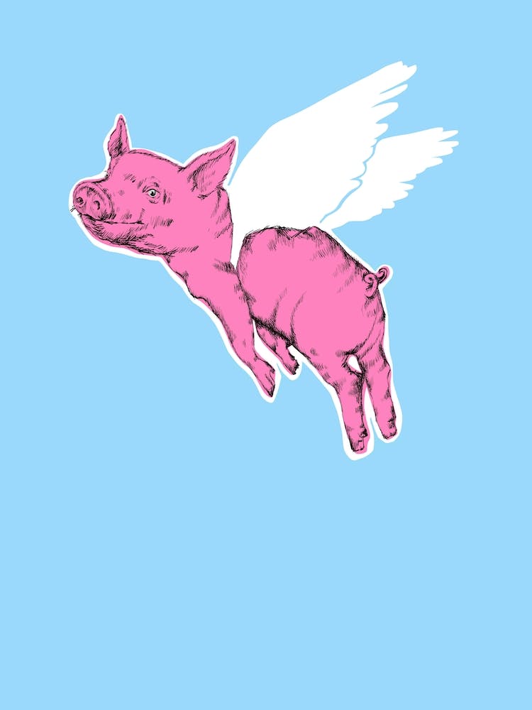 Pigs Might Fly