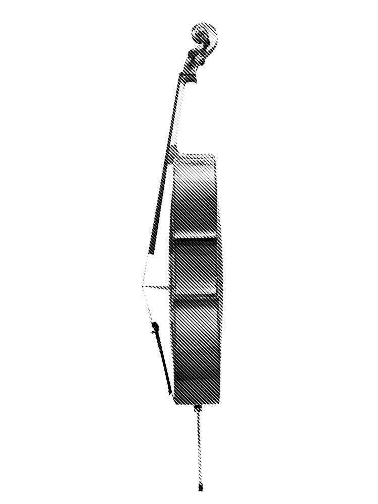 Cello Line Art Illustration 3